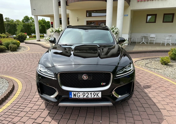 Jaguar F-Pace cena 149900 przebieg: 55000, rok produkcji 2016 z Górzno małe 781